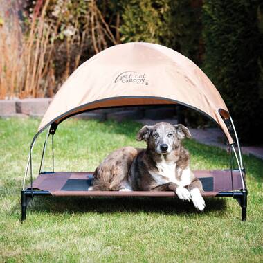 Outdoor dog clearance cot with canopy